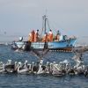 Fiskare utanför Perus kust