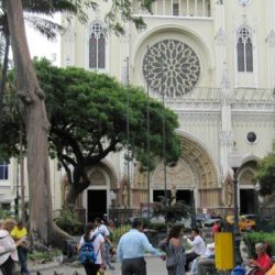 Praktfulla iguaner i Guayaquil Ecuador