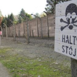80 år sedan nazisternas förintelseläger